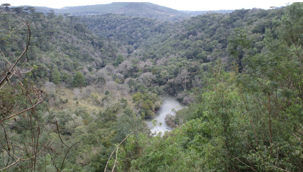 Araucárias National Park